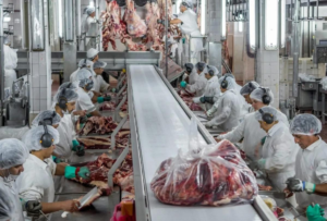 LA FAENA VACUNA CAYÓ 10% Y SE PROCESARON MÁS DE UN MILLÓN DE ANIMALES MENOS EN 2026